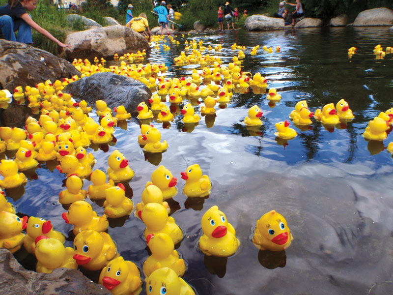 Past Events The Ducky Derby Rotary Club of Aspen